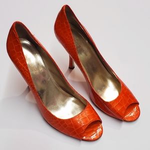 University of Florida Florida Gator High Heels